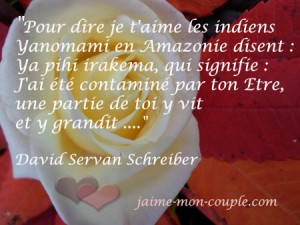 David Servan Schreiber  