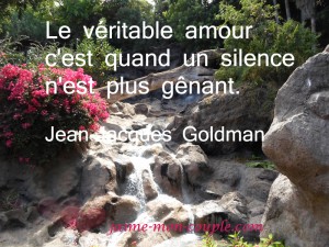 Jean Jacques Goldman      