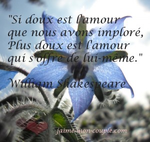 William Shakespeare        